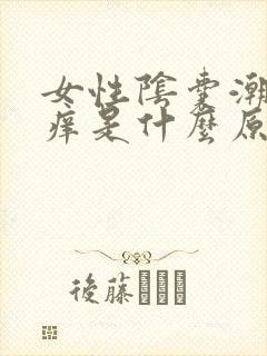 女性阴囊潮湿瘙痒是什么原因造成的