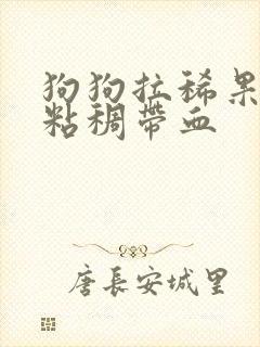 狗狗拉稀果冻状粘稠带血