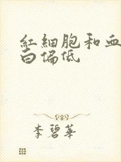 红细胞和血红蛋白偏低