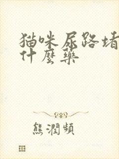 猫咪尿路堵塞吃什么药