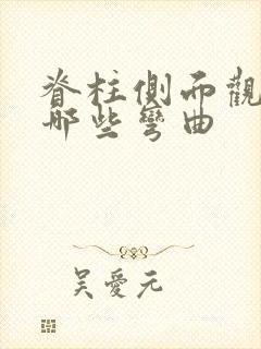 脊柱侧面观可见哪些弯曲