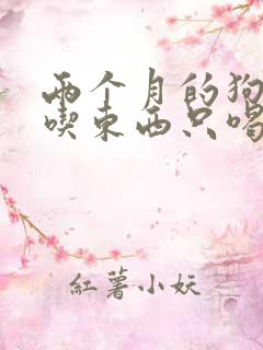 两个月的狗狗不吃东西只喝水尿黄