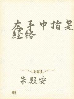 左手中指是什么经络