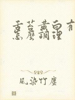 舌苔黄白有齿痕怎么调理