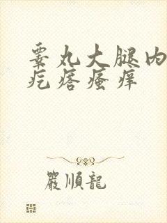 睾丸大腿内侧红疙瘩瘙痒