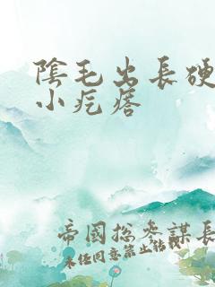 阴毛出长硬硬的小疙瘩