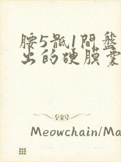 腰5骶1间盘突出的硬膜囊受压