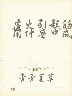 虚火引起的耳鸣用什么中成药