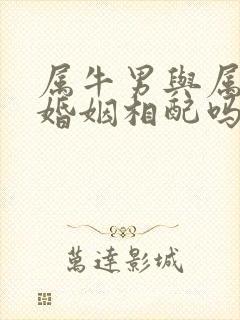 属牛男与属羊女婚姻相配吗