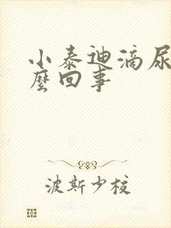 小泰迪滴尿是怎么回事