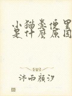 小猫粪便里带血是什么原因