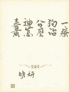 泰迪公狗一直尿黄怎么治疗好