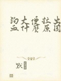 狗大便拉出来有血什么原因?