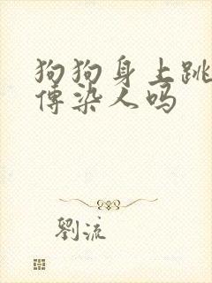 狗狗身上跳蚤会传染人吗