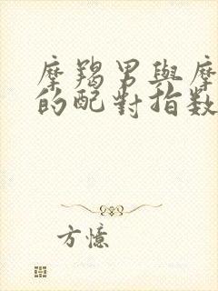 摩羯男与摩羯女的配对指数