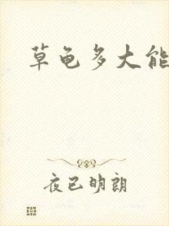 草龟多大能生蛋