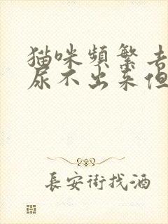 猫咪频繁去猫砂尿不出来但是会拉屎