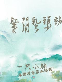 肛门乳头动手术费用多少