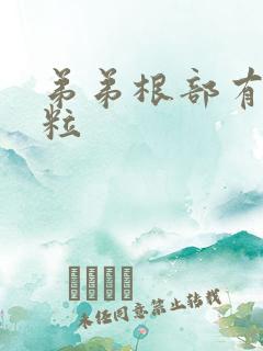 弟弟根部有小肉粒