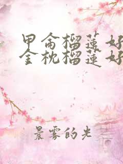 甲仑榴莲好还是金枕榴莲好