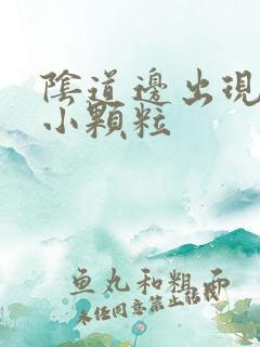 阴道边出现红色小颗粒