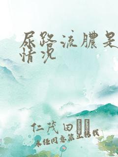 尿路流脓是什么情况