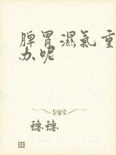 脾胃湿气重怎么办呢