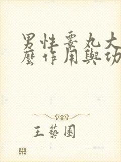 男性睾丸大有什么作用与功能