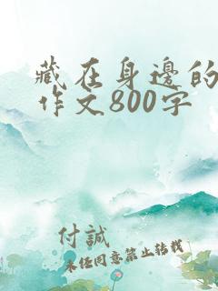 藏在身边的温暖作文800字