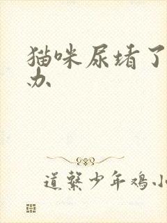 猫咪尿堵了怎么办