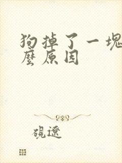 狗掉了一块毛什么原因