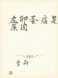 左卵蛋痛是什么原因