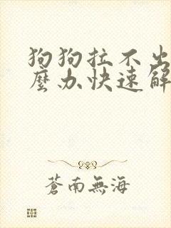 狗狗拉不出屎怎么办快速解决方法