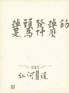 掉头发掉的严重是为什么