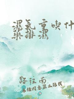 湿气重吃什么中药排湿