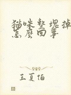 猫咪整块掉毛是怎么回事