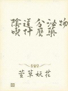 阴道分泌物黄色吃什么药