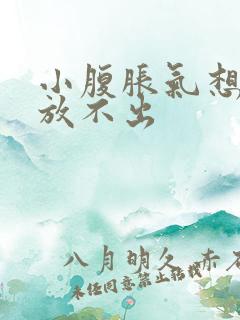 小腹胀气想放屁放不出