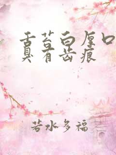 舌苔白厚口苦口臭有齿痕