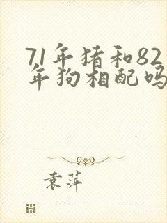 71年猪和82年狗相配吗?