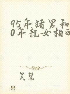 95年猪男和00年龙女相配吗