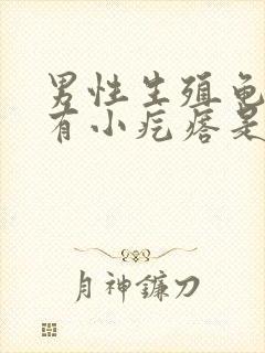 男性生殖龟头上有小疙瘩是怎么回事