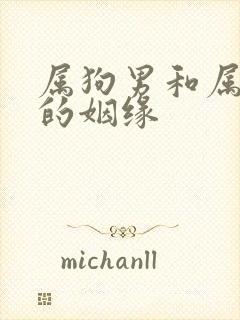 属狗男和属龙女的姻缘