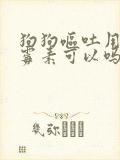 狗狗呕吐用庆大霉素可以吗