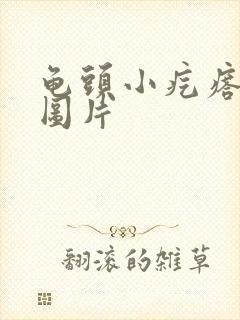 龟头小疙瘩疾病图片