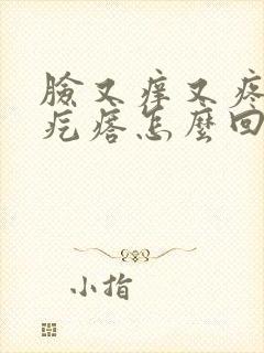 脸又痒又疼起小疙瘩怎么回事