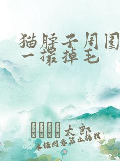 猫脖子周围一撮一撮掉毛