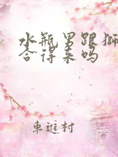 水瓶男跟狮子女合得来吗