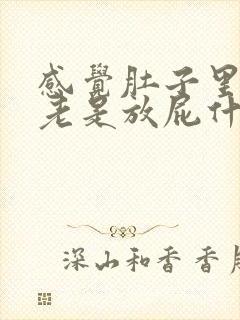 感觉肚子里有气老是放屁什么原因