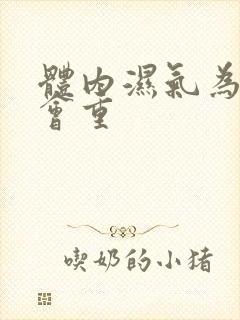 体内湿气为什么会重